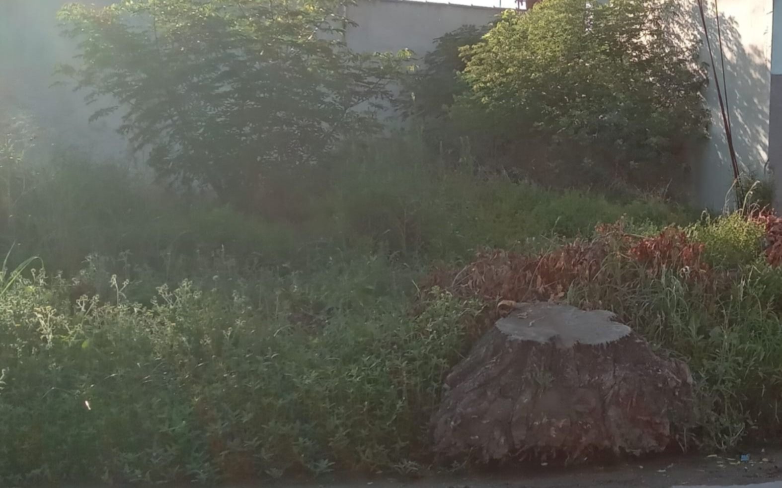 Vecinos de un barrio de Berisso denuncian que "estamos abandonados"