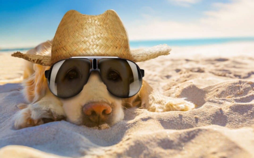 Sábado a pleno sol y con temperatura agradable en La Plata: el tiempo para este finde