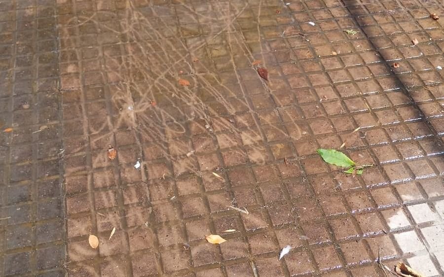 Una vereda inundada por una pérdida de agua en 29 entre 67 y 68