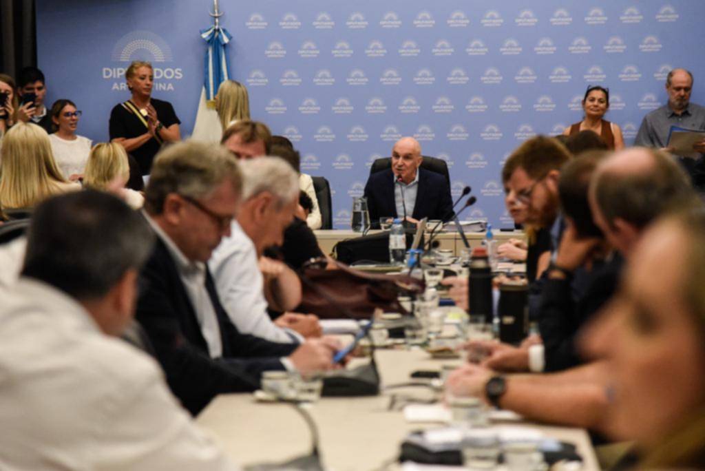 Ley Ómnibus: avanzan las negociaciones y la oposición dialoguista plantea reparos al proyecto