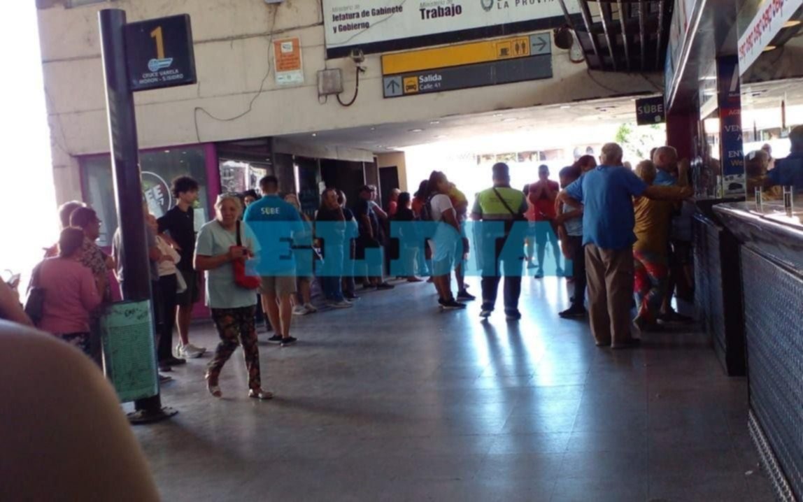 Registrar la SUBE, un dolor de cabeza: demoras y trastornos en La Plata, y sistema caído