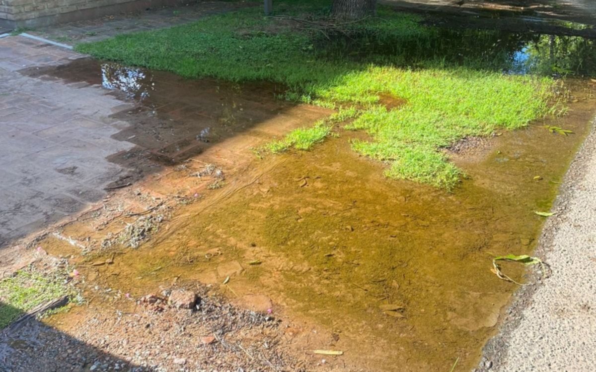 Un vecino de Gonnet tiene una pileta, pero en la entrada de su casa por una pérdida de agua