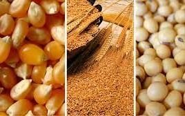 Entidades y cámaras de la agroindustria apoyaron adherir a la UPOV