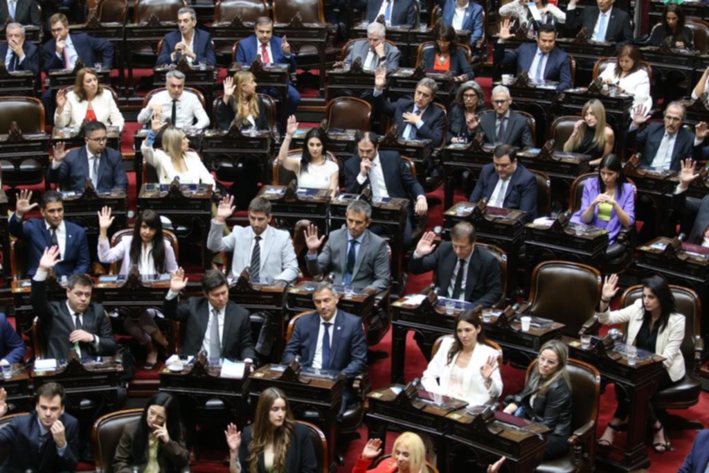 La Ley Ómnibus no arranca en el Congreso