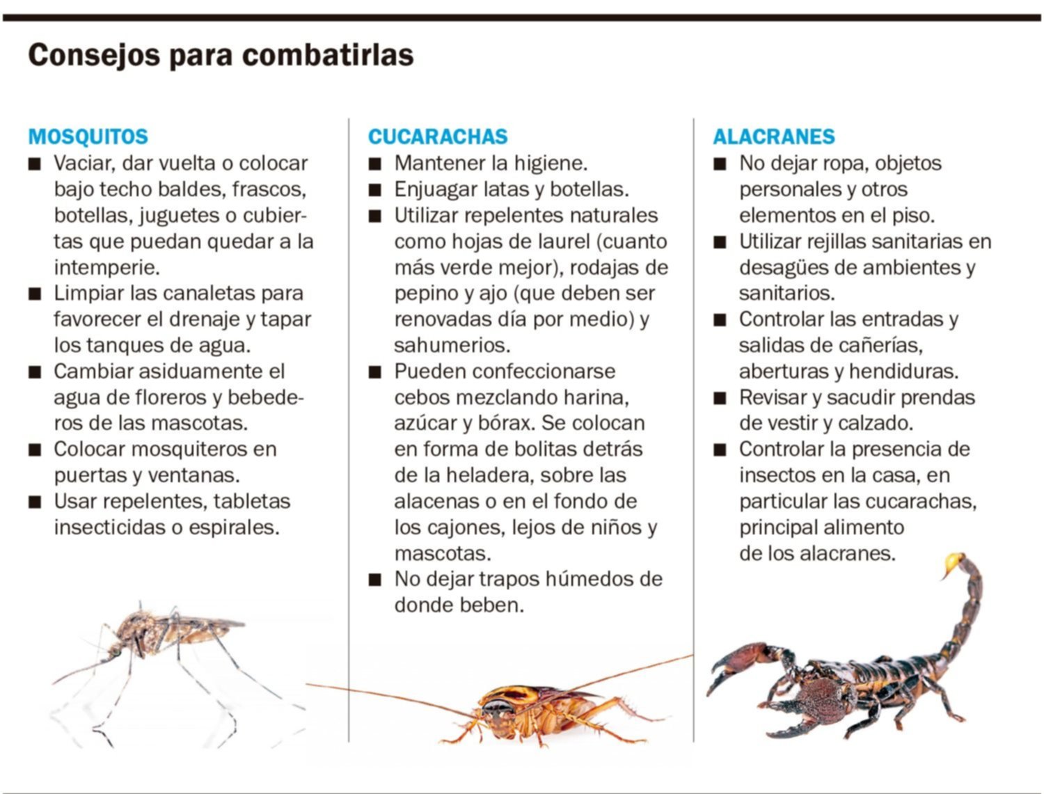 Precio de fumigación por hectárea online 2019