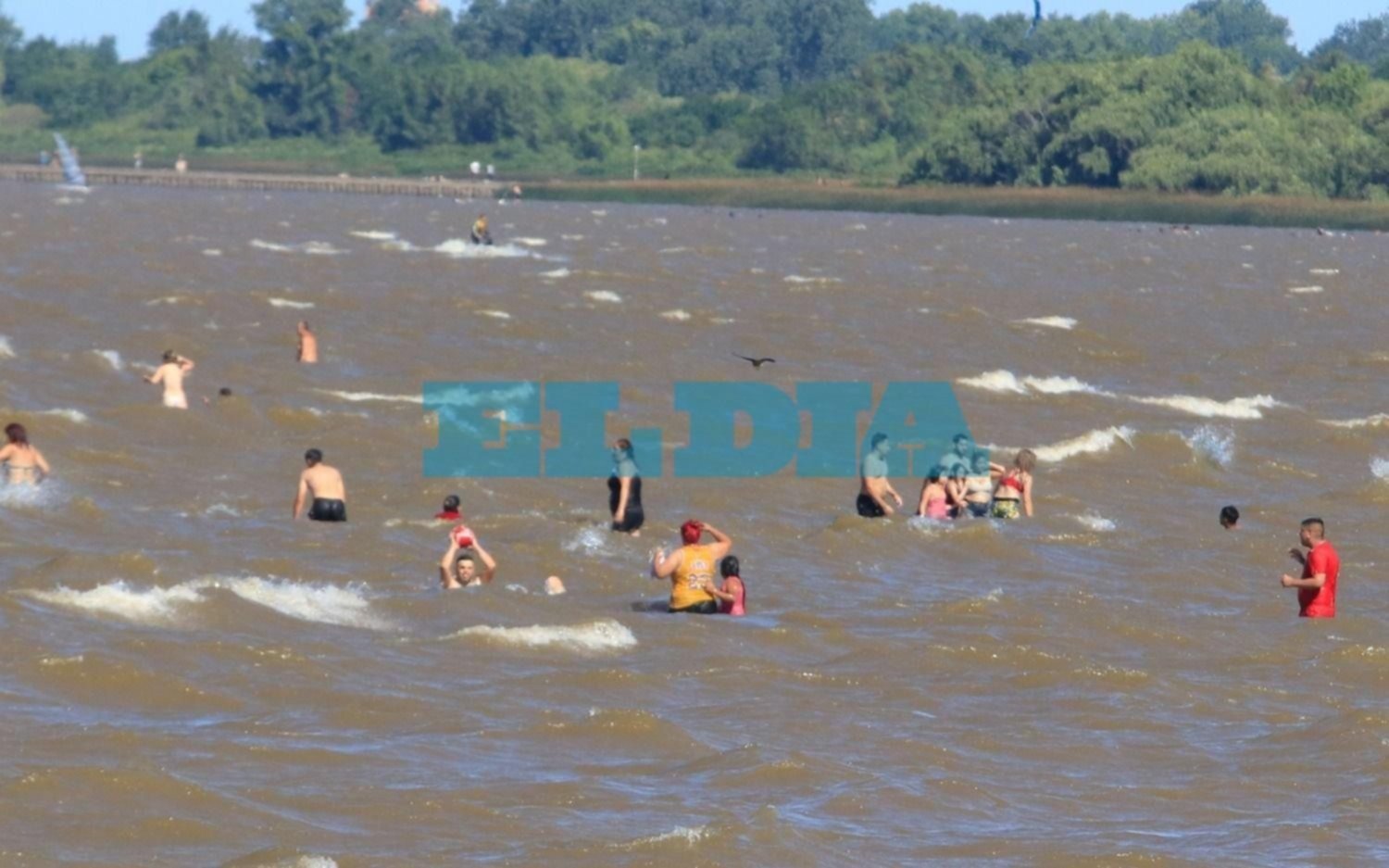 Mantienen el alerta "amarillo" de cianobacterias en el Río de la Plata