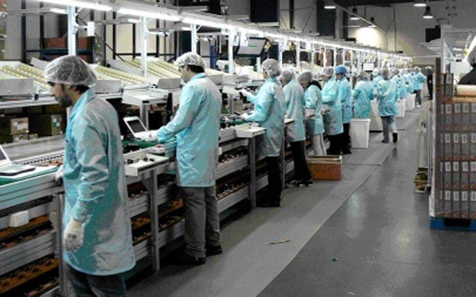 Búsqueda de trabajo en La Plata: no te pierdas esos ofrecimientos de empleo