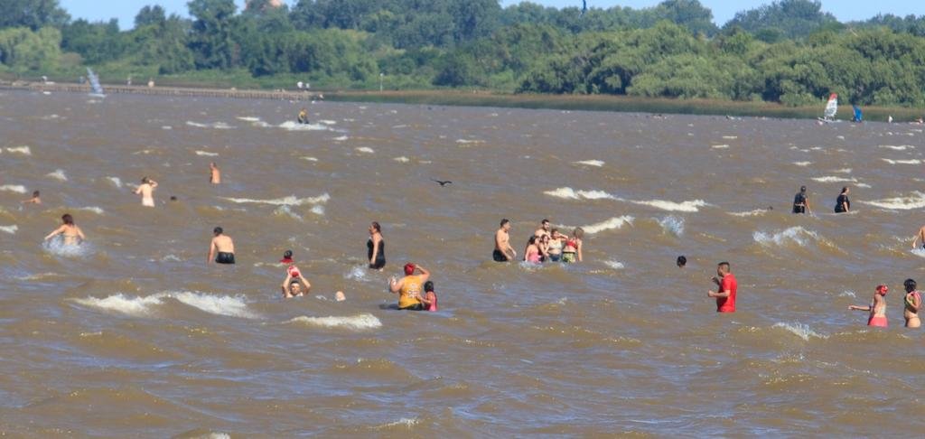 Se mantiene el alerta por cianobacterias en áreas de Berisso y Ensenada