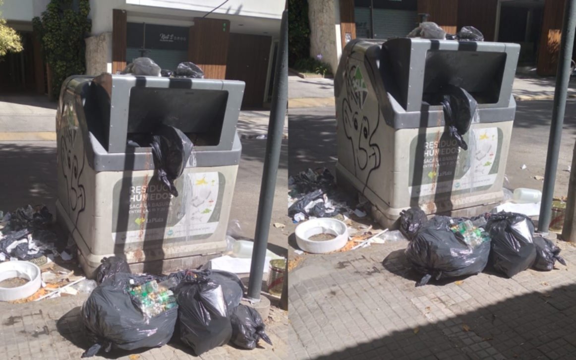 Un basural en pleno centro de La Plata