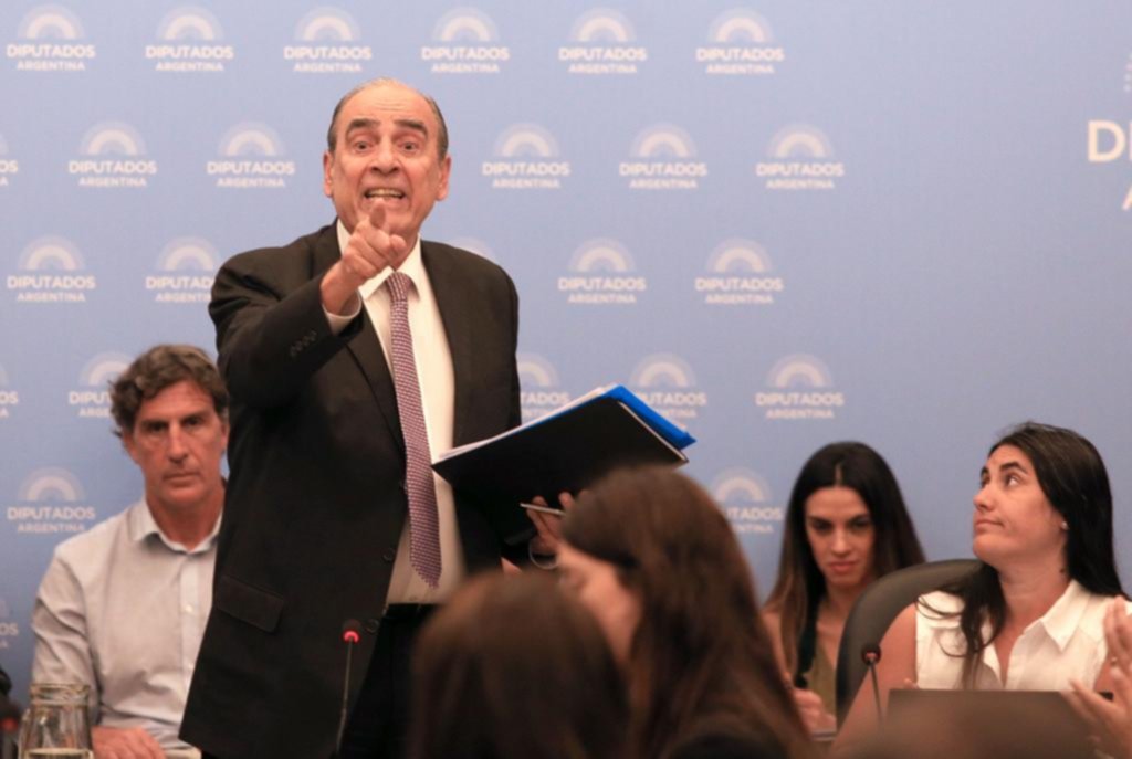 El Gobierno confía en avanzar con la Ley Ómnibus en Diputados: ¿elimina las facultades delegadas al Ejecutivo?