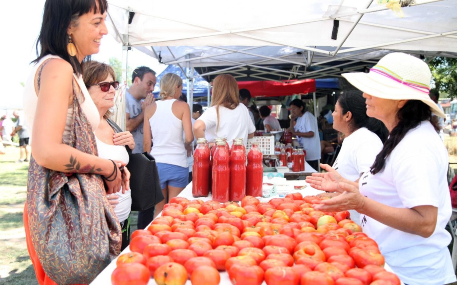 El tomate platense: "Recuperar el sabor volviendo a variedades de antes"