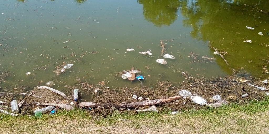 El lago del Parque Saavedra en muy malas condiciones