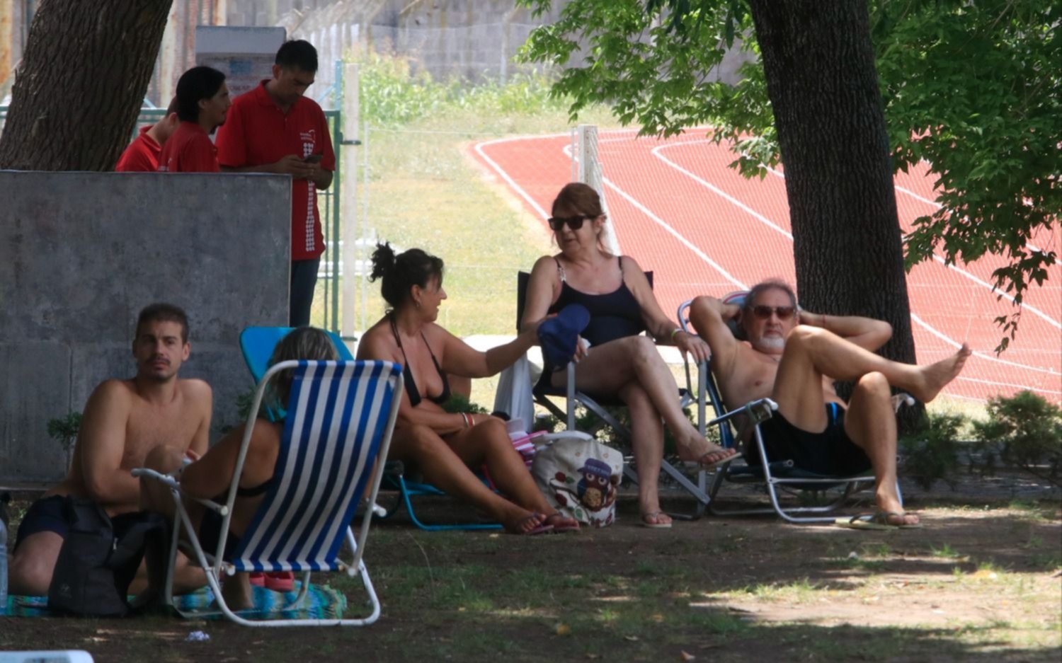 Barrio por barrio, a cuánto llegó la temperatura en La Plata