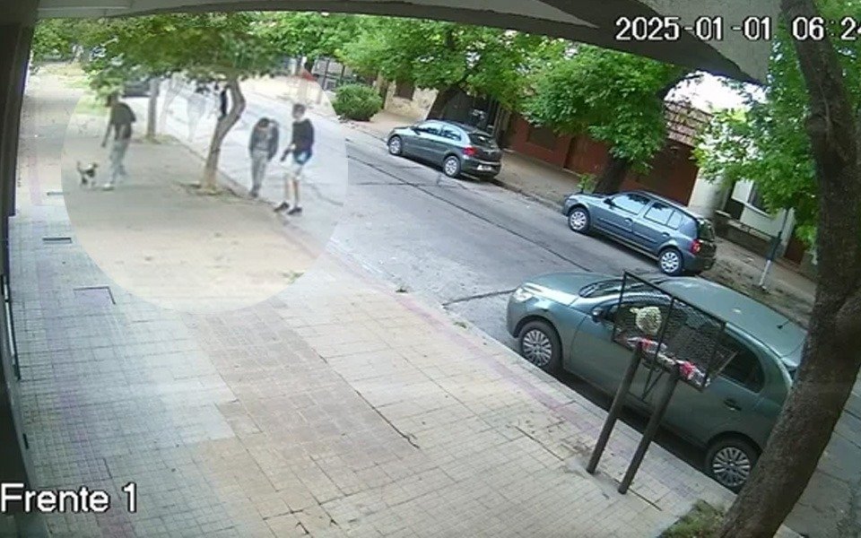 Indignante: en La Plata, tres jóvenes arrojaron a un gato al aire y luego intentaron forzar un portón