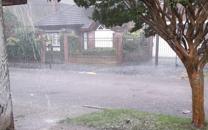 El temporal dejó árboles caídos y voladura de techos en Quilmes