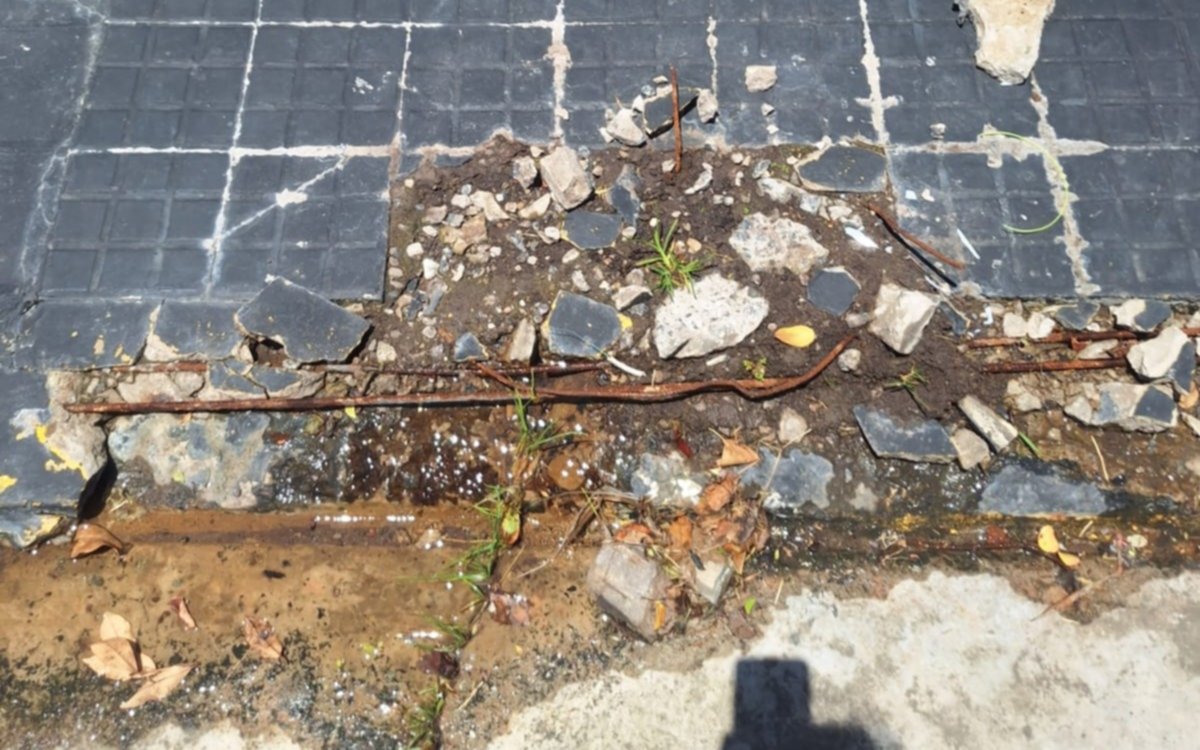 Una pérdida de agua preocupa a los vecinos de un barrio platense