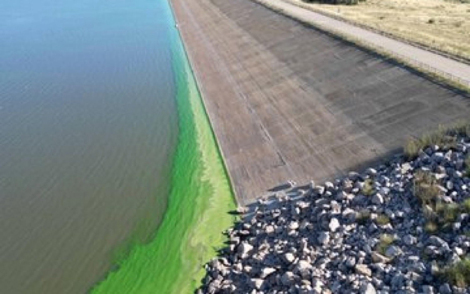 Bahía Blanca y Punta Alta: algas en el dique Paso de las Piedras podrían afectar el suministro de agua potable