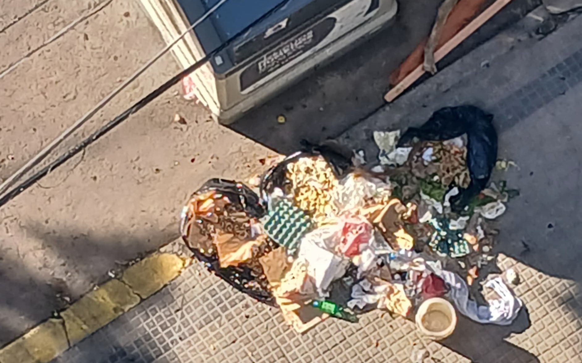 Vecinos de La Plata se quejan por un basural