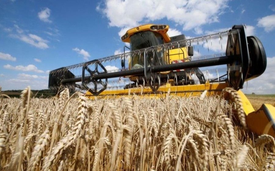 El campo enciende alarmas por la falta de lluvias: el impacto de "El Niño"