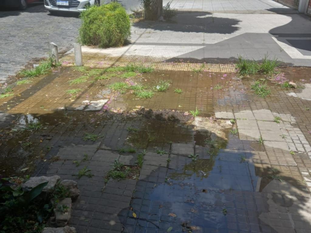 Pasó un auto por la vereda y destruyó baldosas y caños de agua en 63 y 12