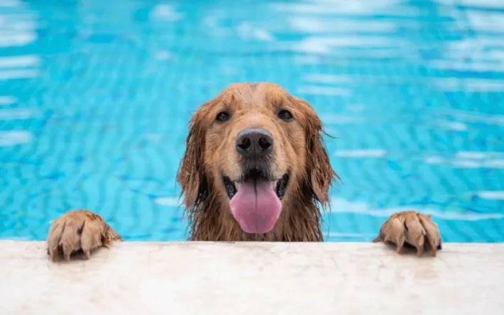 Ahora sí, sube la temperatura en La Plata y arranca el calor