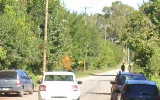 Horror en un barrio de La Plata: mueren seis perros por ingerir carne en la calle y temen por un envenenador