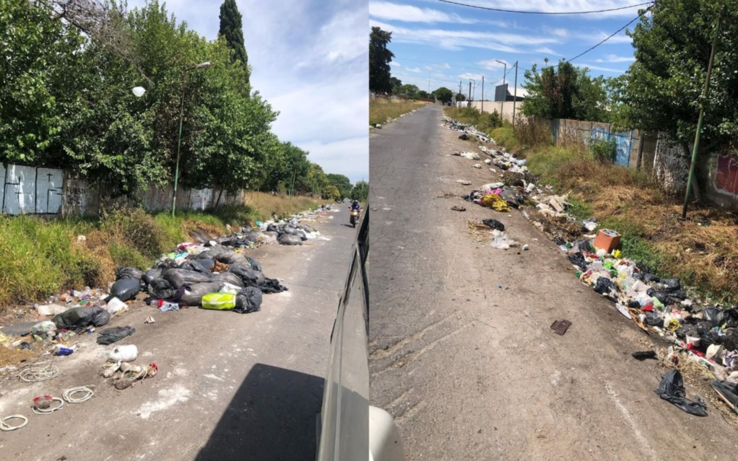 Basural e invasión de ratas en varias cuadras: vecinos de Villa Elvira preocupados