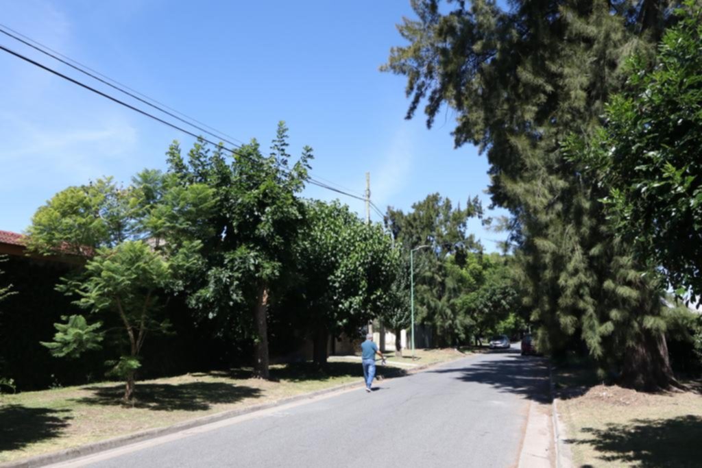 Ataque sorpresa en Gonnet: cuatro ladrones cortaron una sobremesa