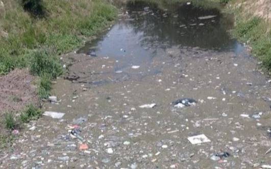 VIDEO.- "Descubren" el primer "arroyo de plástico" de La Plata y denuncian grave contaminación