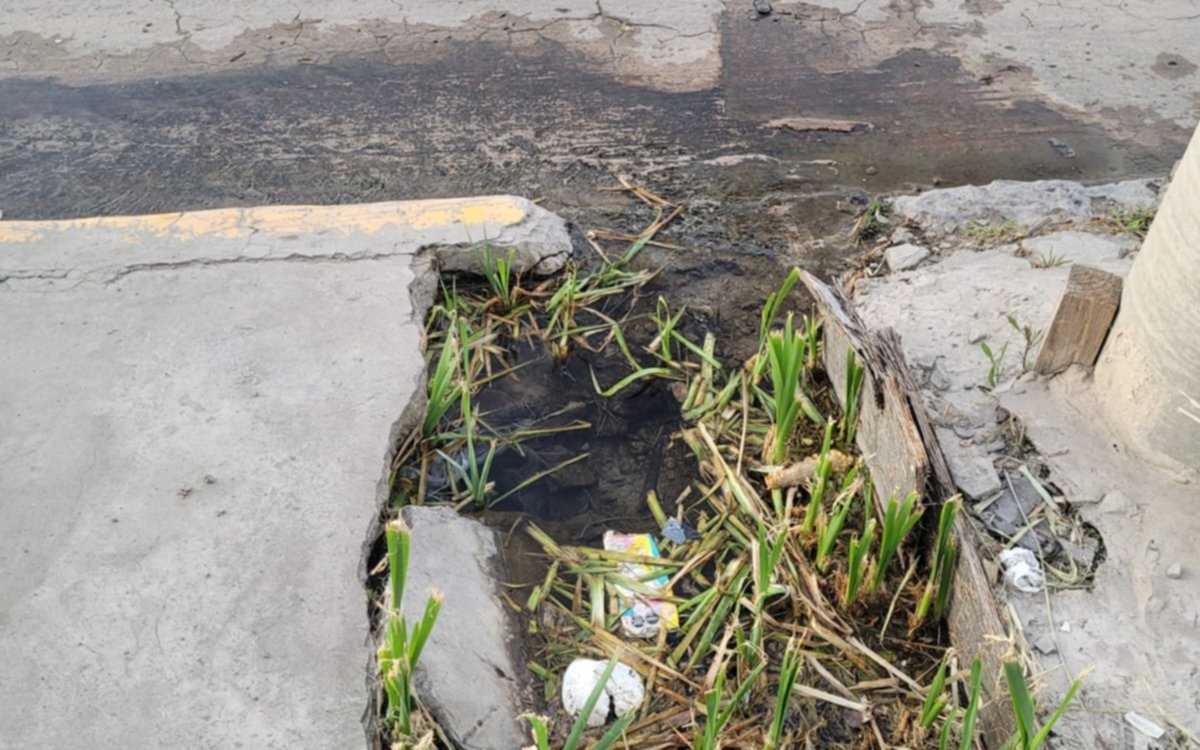 Pérdida de agua genera malestar en los vecinos de un barrio de La Plata