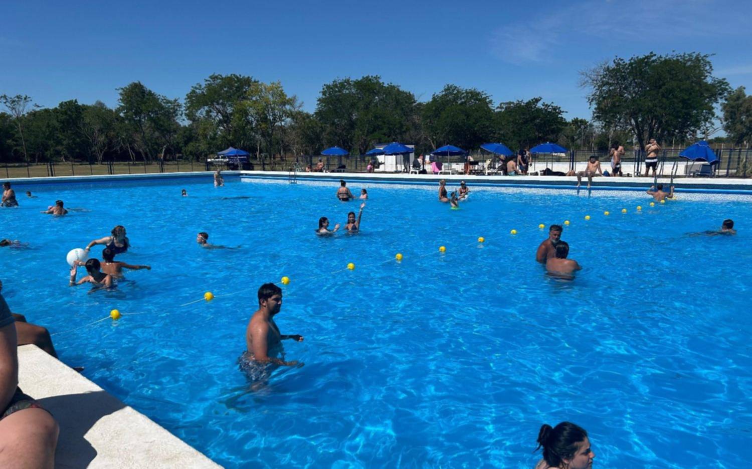 Fotos | Gimnasia inauguró la temporada de verano en Estancia Chica con la reapertura de su pileta para los socios