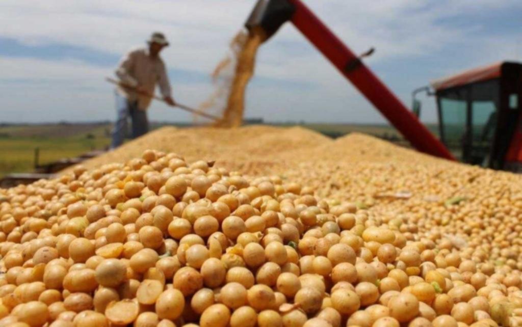 “La producción de soja cayó 30% en los últimos diez años”