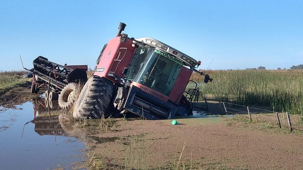 En una hectárea de soja hoy gana más el Estado que un productor