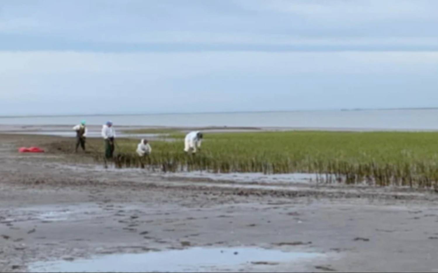 Bahía Blanca: investigan posible delito por derrame de hidrocarburos en el estuario