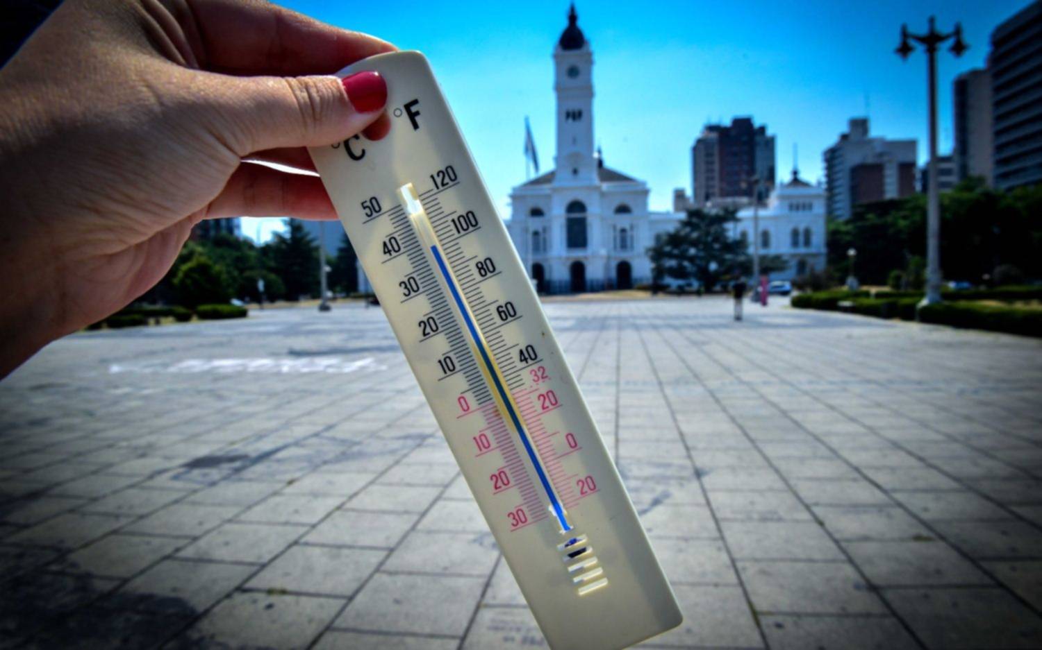 Alerta amarilla en La Plata por el calor: recomendaciones a seguir y cómo cuidar a las mascotas