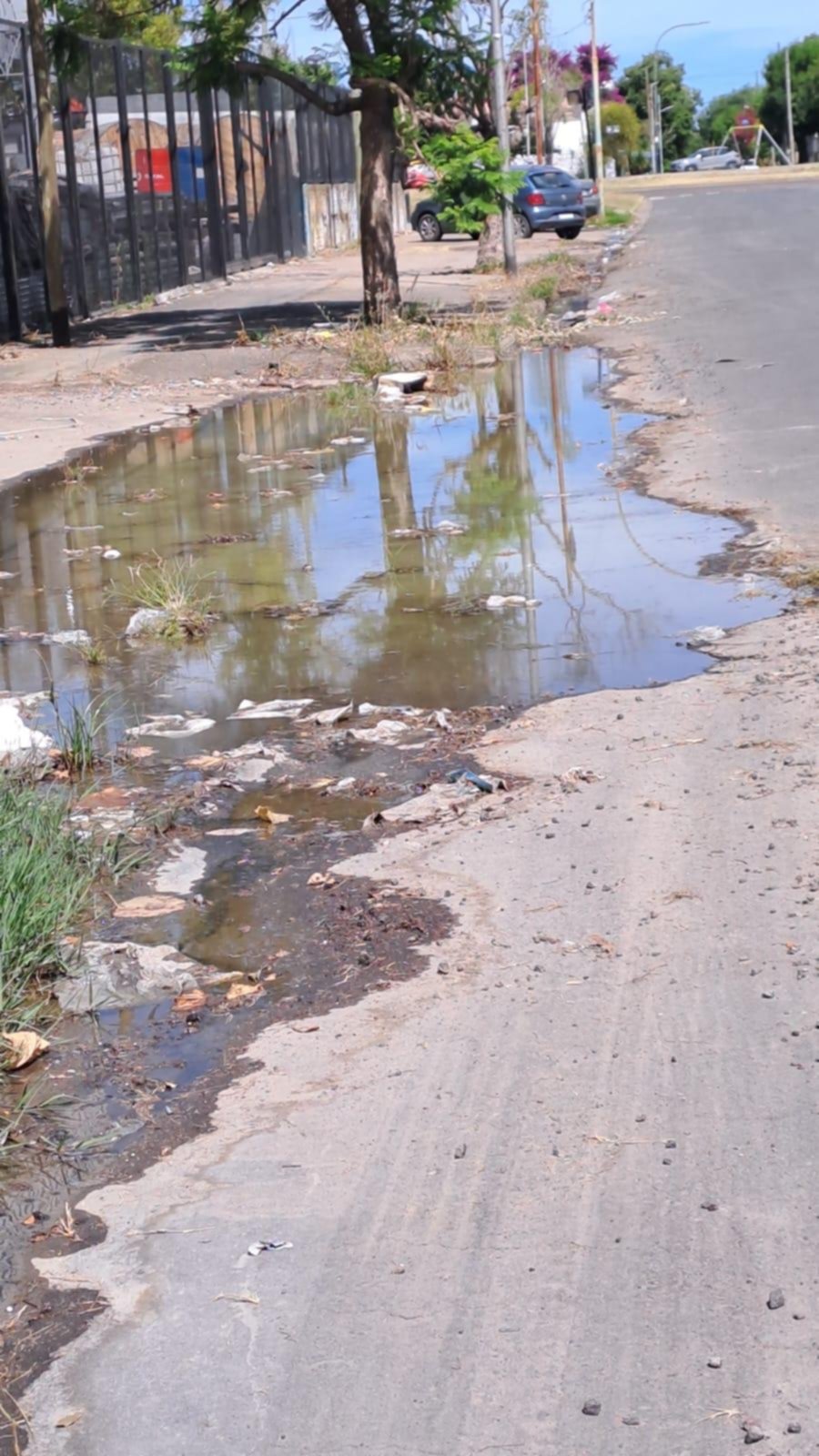 “Laguna” en Tolosa por una cañería destruida
