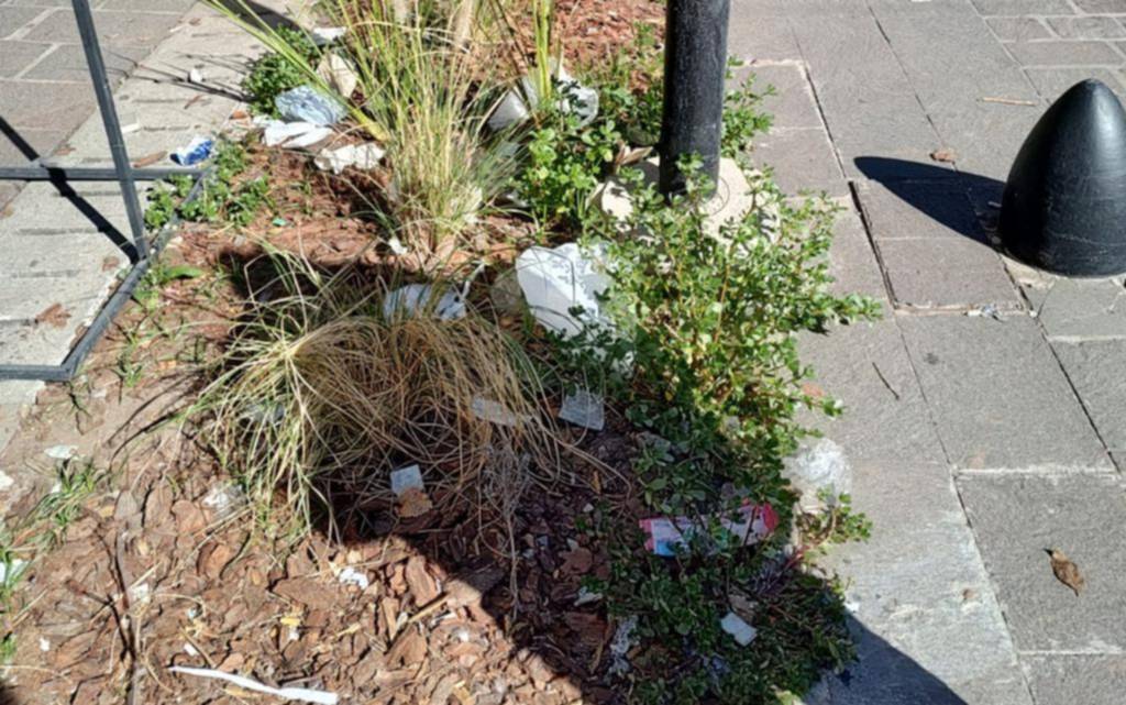 Los residuos invadieron los canteros de calle 8 entre 49 y 50