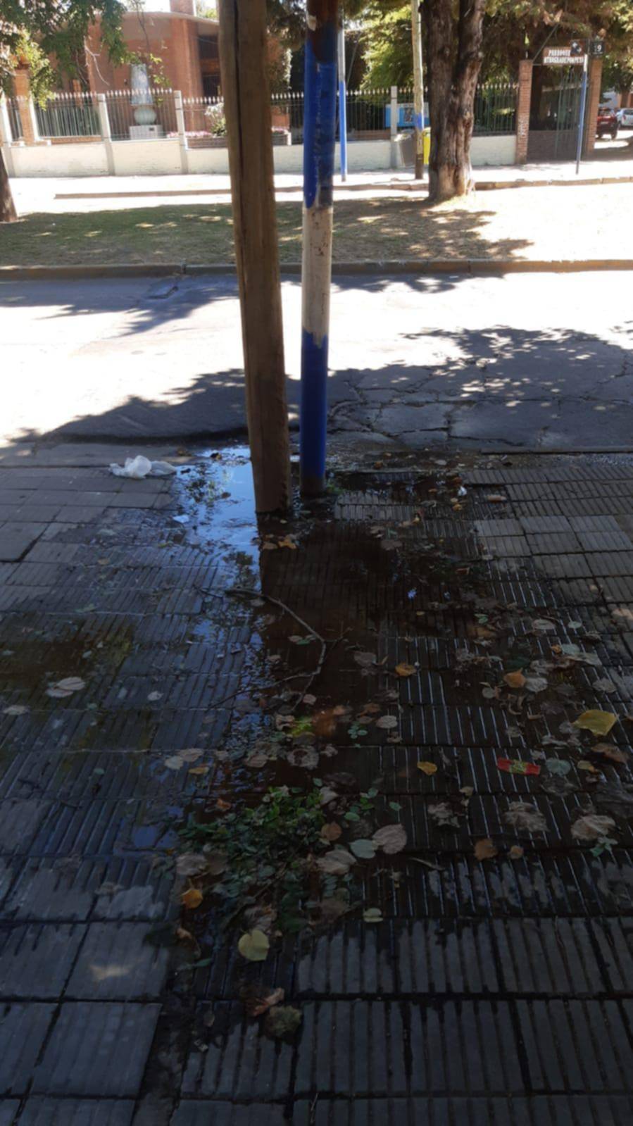 Nuevo reclamo por una pérdida de agua en la esquina de 19 y 62