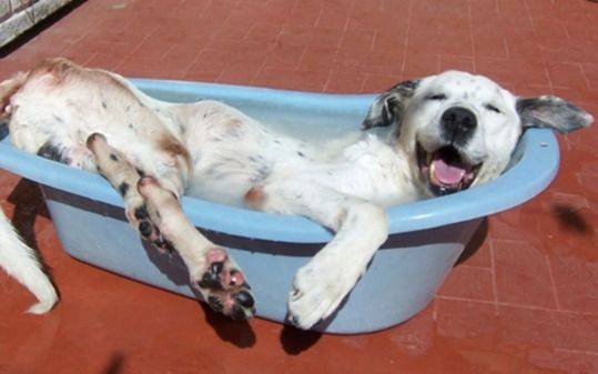 Calor de miércoles: con estas altas temperaturas ¿cuándo llegará el alivio?