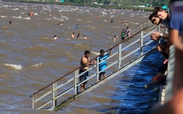 Cianobacterias: la costa del Río de Plata en alerta amarilla en Punta Lara y Berisso