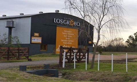 Se agrava la situación del Grupo Los Grobo