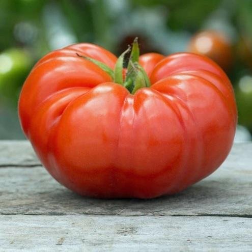 XX Fiesta del Tomate Platense