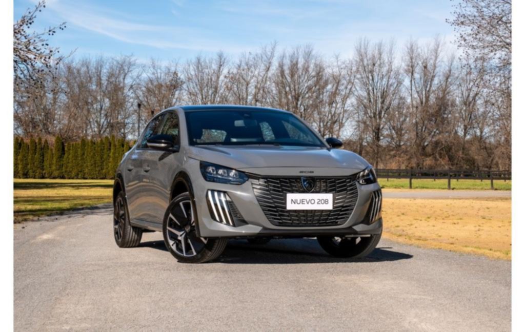 Cuáles fueron los autos más vendidos en 2024