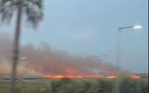 VIDEO.- Así se incendió el Parque Nacional Ciervo de los Pantanos en Campana