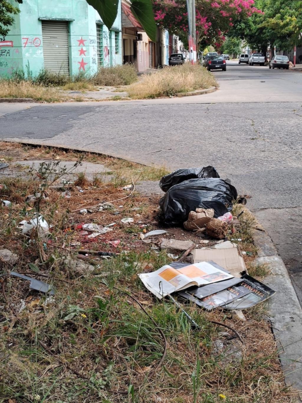 Un barrio acechado por los pastizales y microbasurales