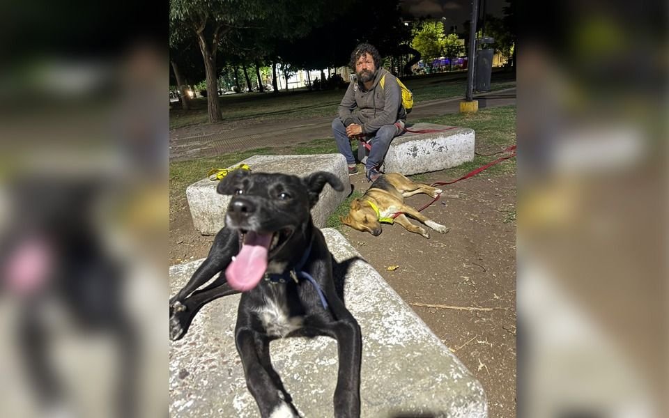 Alejandro: vive en la calle desde 2012, rescata perritos y sueña con tener una guardería