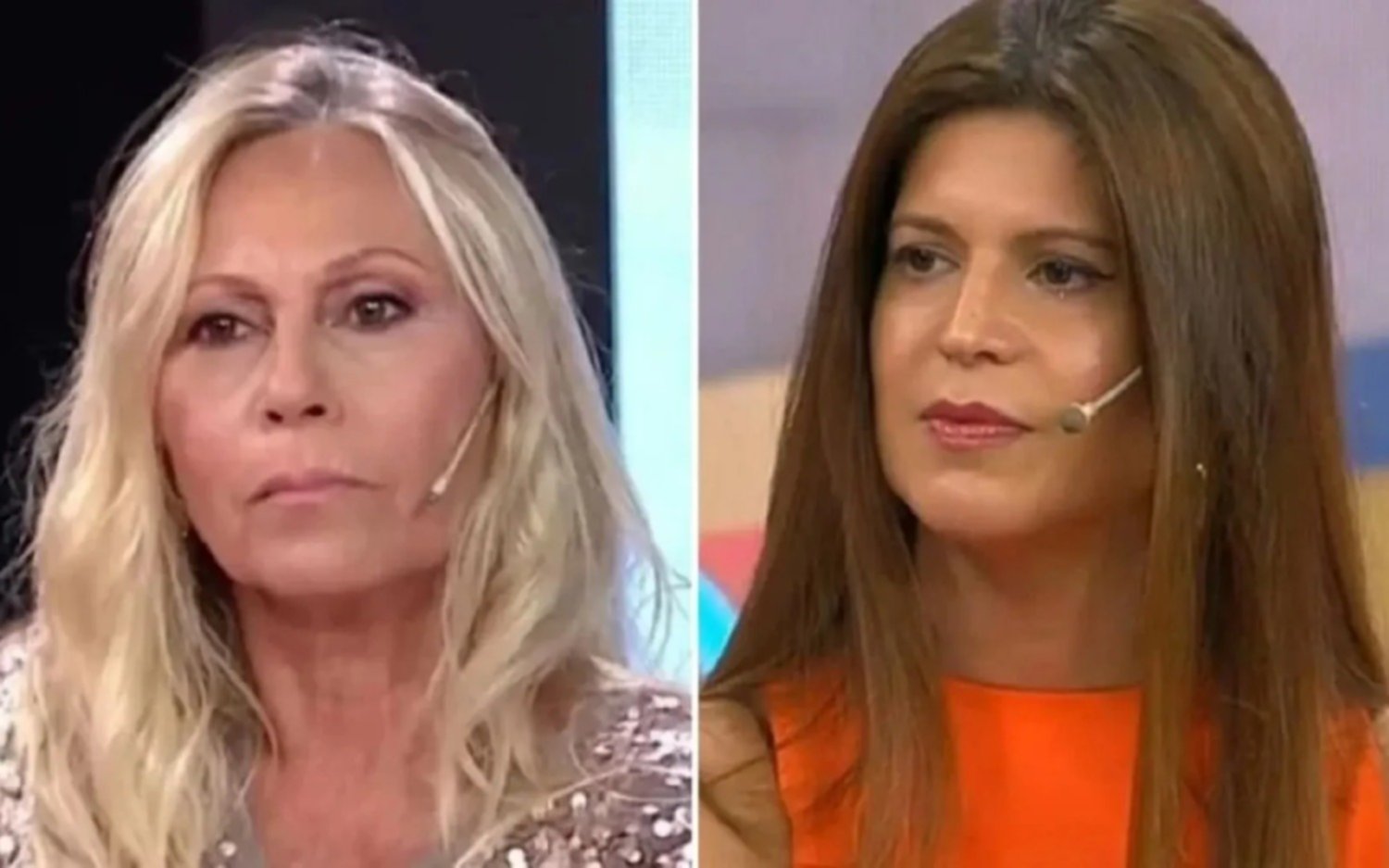 Filoso descargo de Ana Rosenfeld contra Elba Marcovecchio