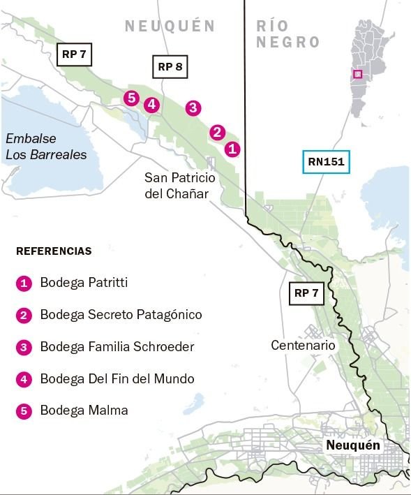 Ruta del Vino Patagónico: un viaje entre viñedos y paisajes inolvidables