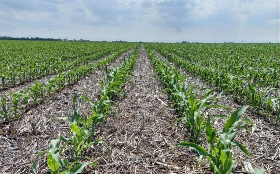 Sequía y retenciones, los temas que más preocupan en el campo