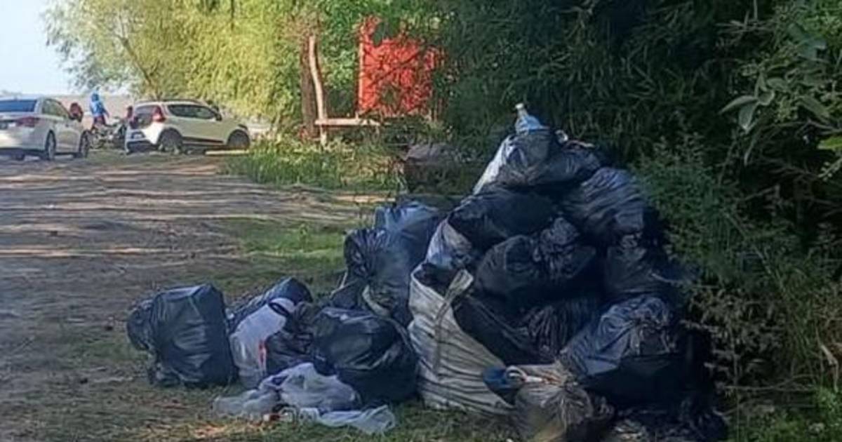 La recolección de basura, un problema sin solución en Berisso | El Dia